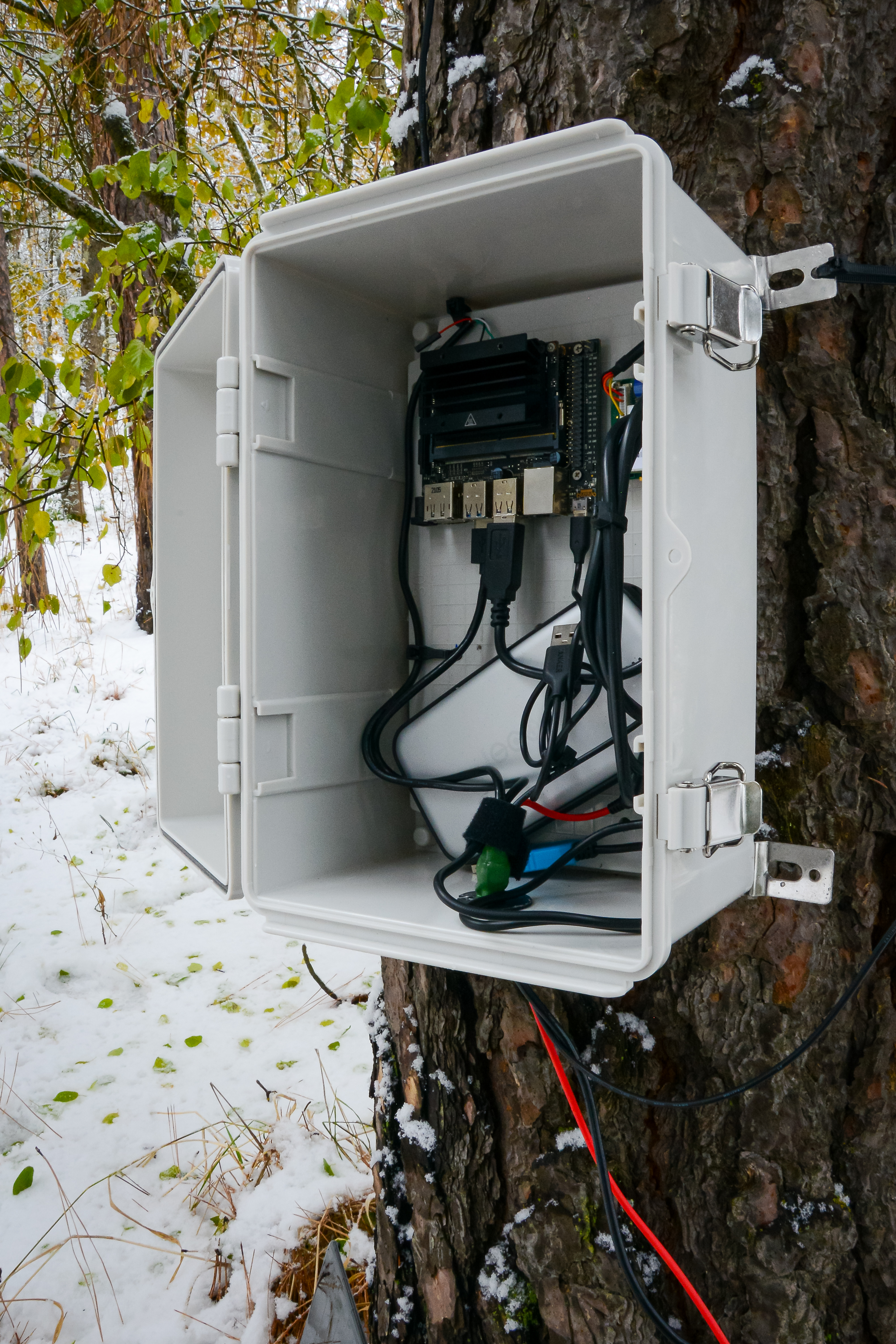 Open box strapped to tree with hardware inside