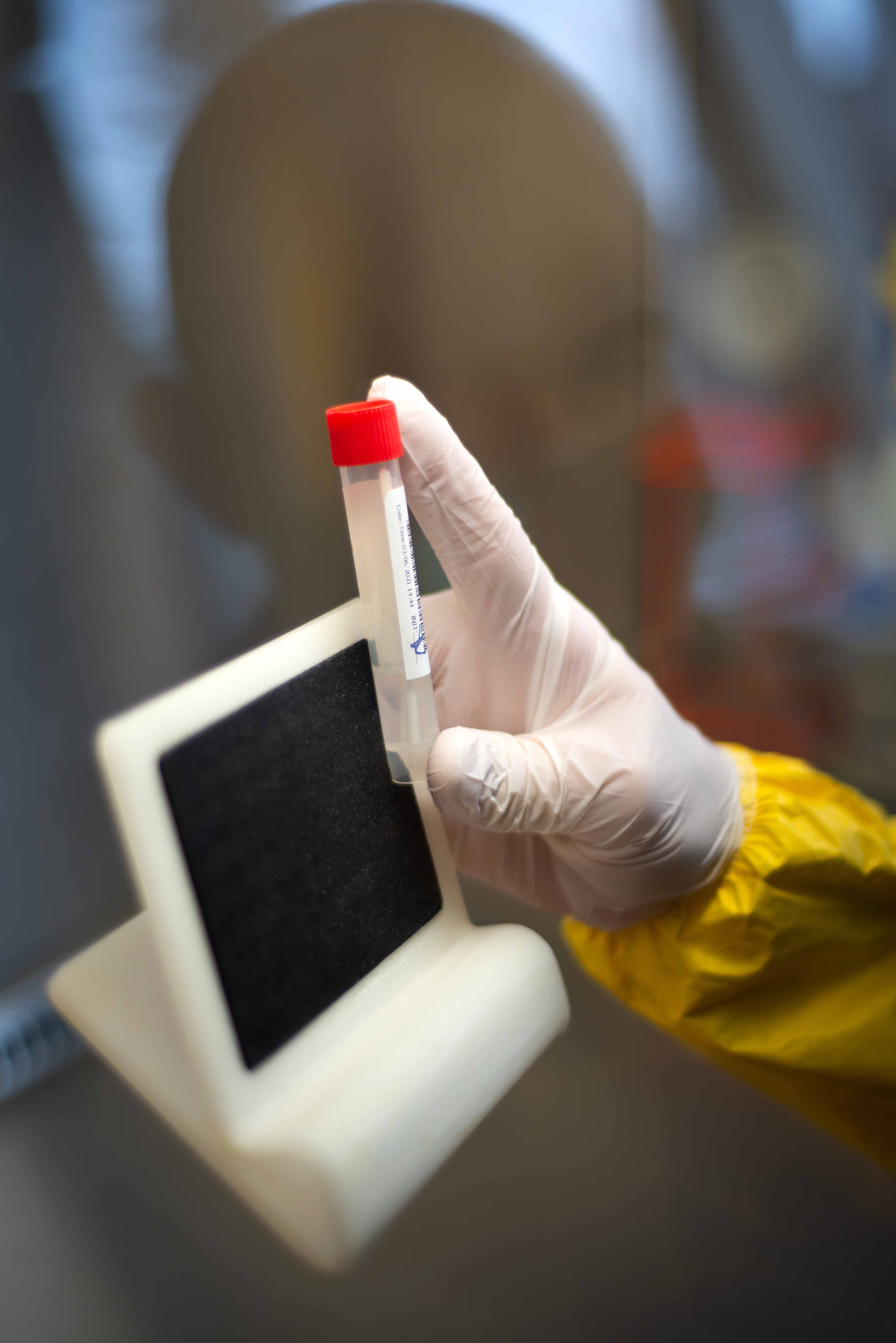 gloved hand holding test tube