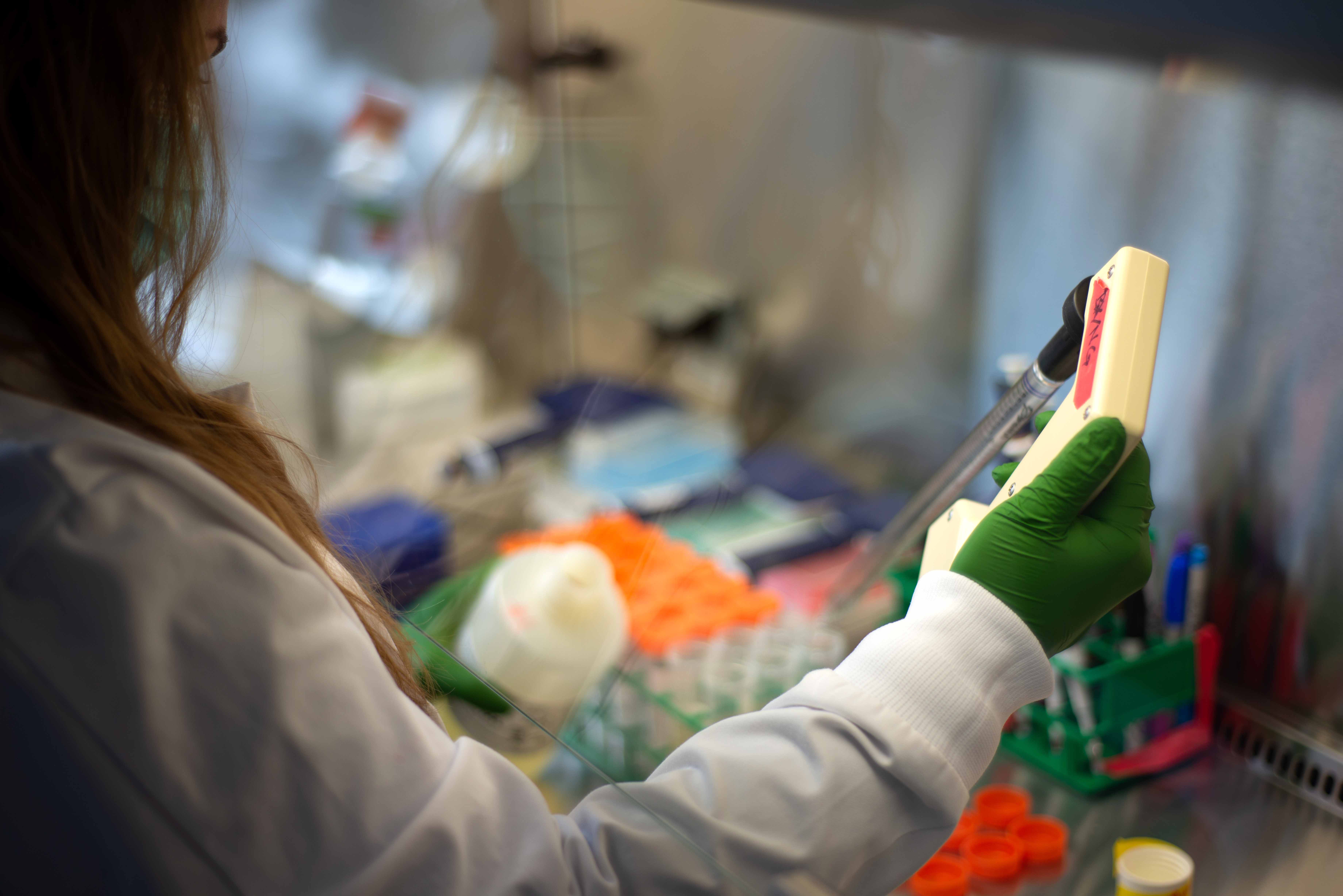 lab tech prepares test tubes for samples