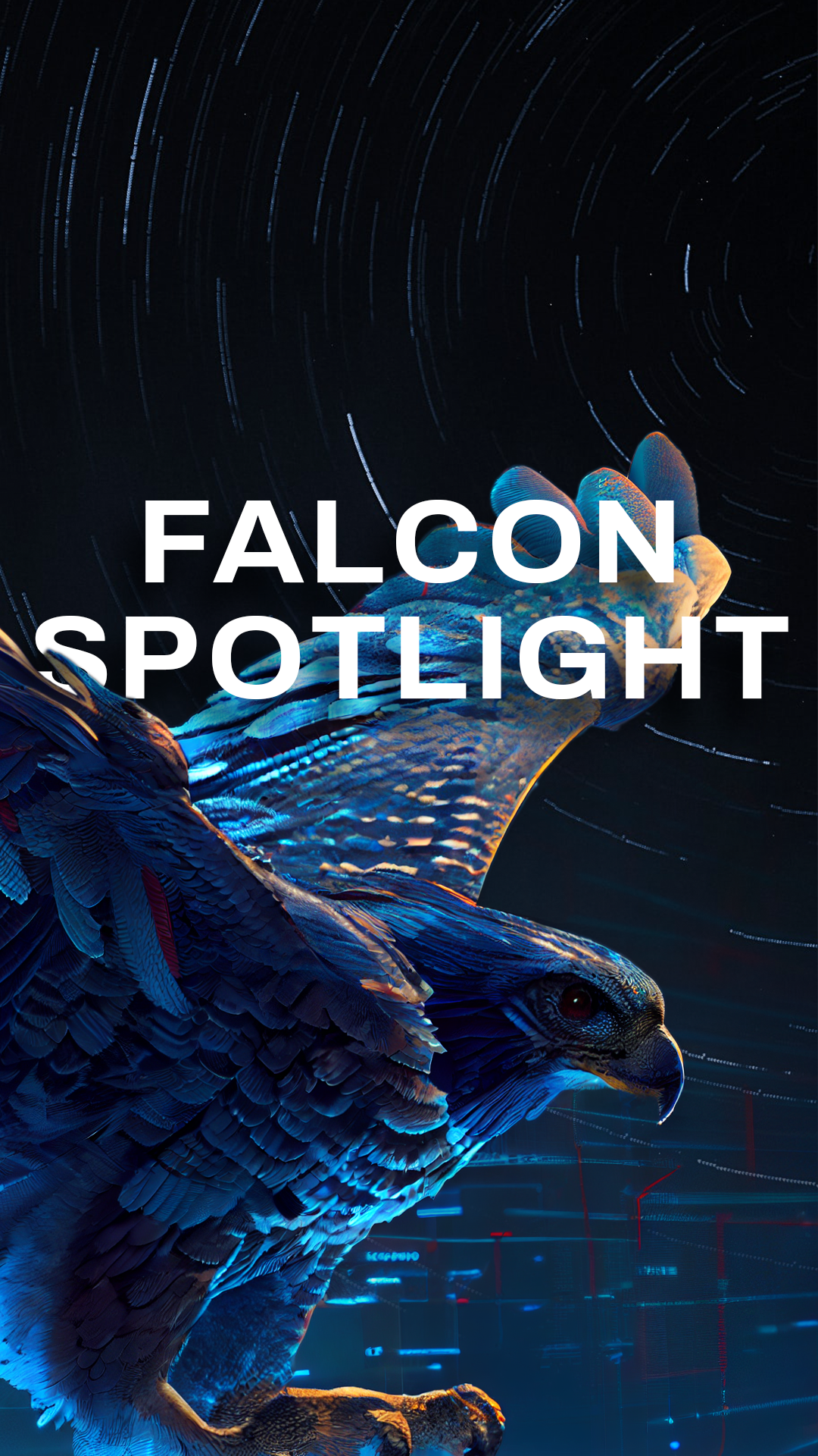 Falcon-graphic-with-stars