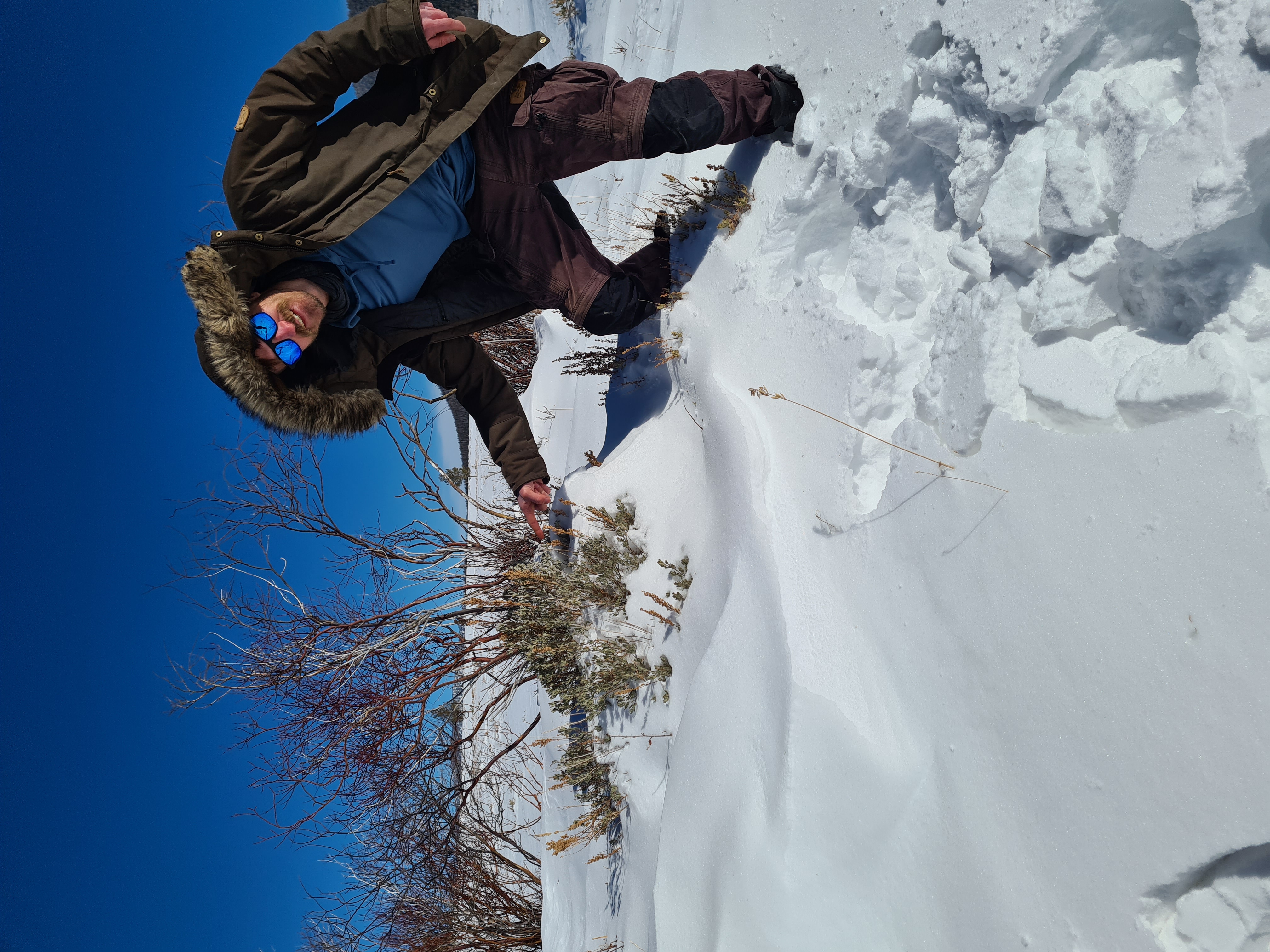 Lukas-pointing-at-sagebrush-in deep-snow