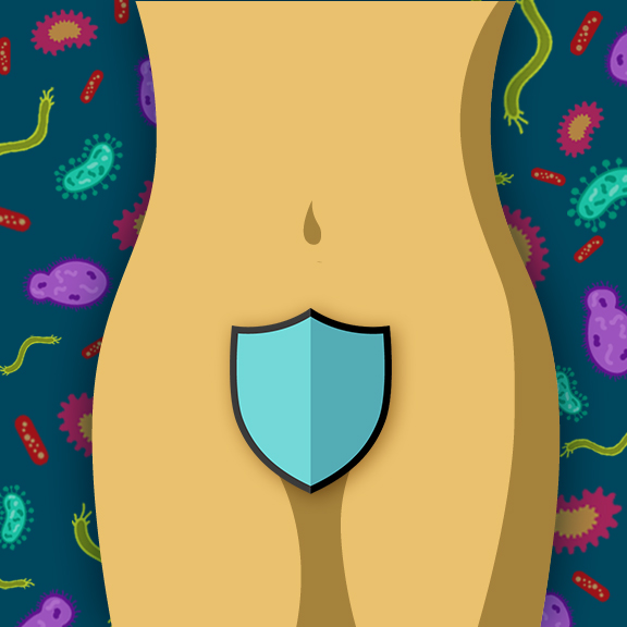 Bacteria-Vaginal-Microbiome-Protection-Illustration