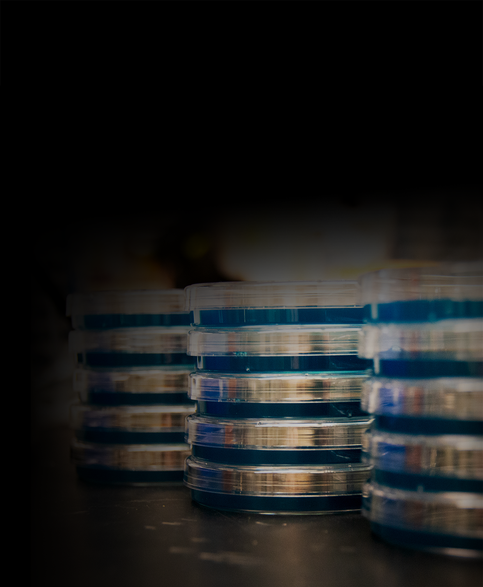 Blue stacked petri dishes