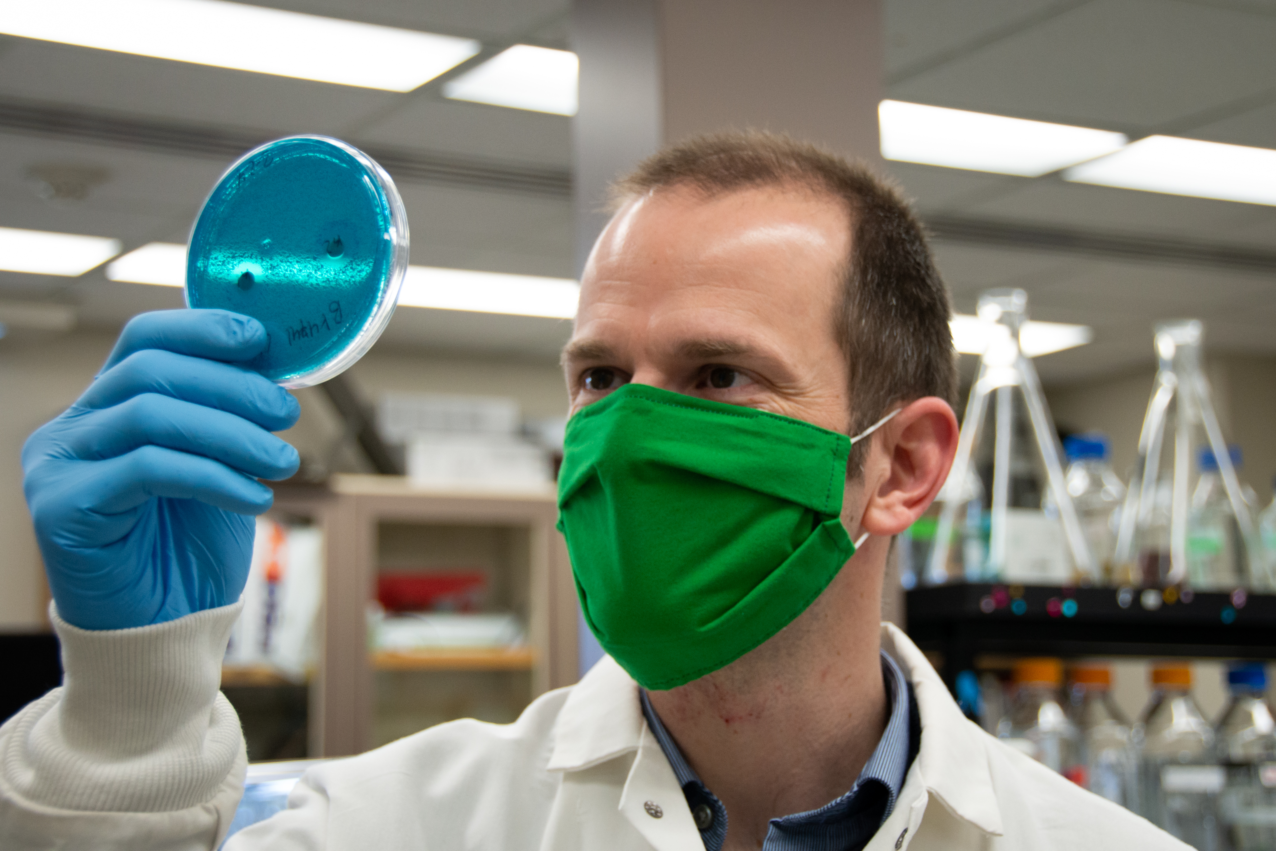 Paul Rowley looking at petri dish